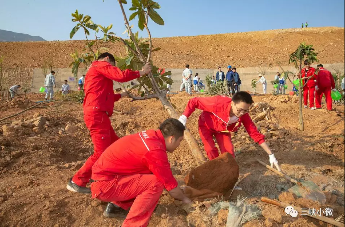 中华大地越来越“绿”，，，三峡在行动！ 