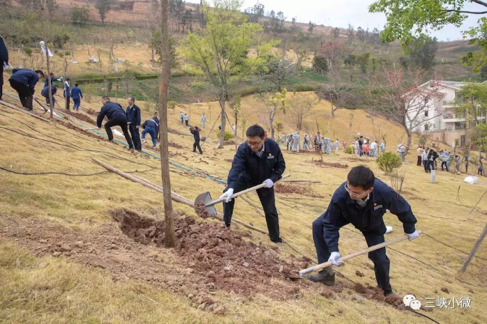 中华大地越来越“绿”，，，三峡在行动！ 