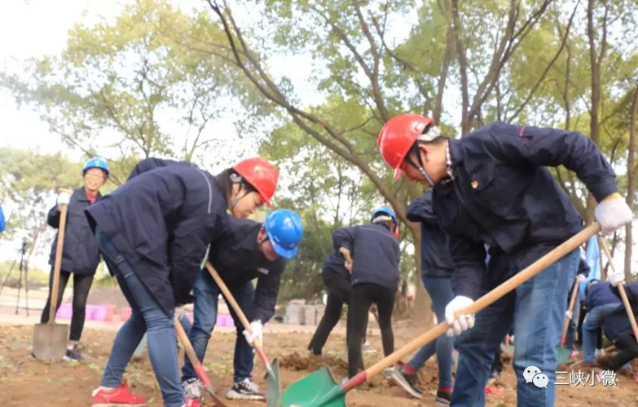 中华大地越来越“绿”，，，三峡在行动！ 