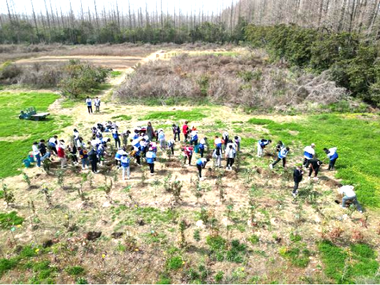 “值”此青绿 别样“锋”彩│上海区域三峡青年在行动 